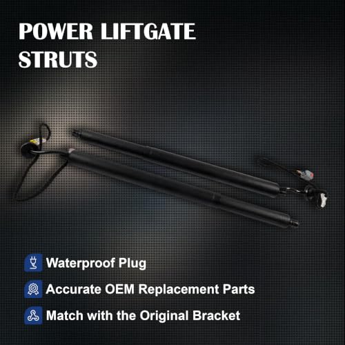 Power Liftgate Struts Fit Ford Escape 2020-2025, 1 Pair