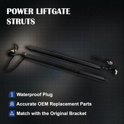 Power Liftgate Struts Fit Ford Escape 2020-2025, 1 Pair