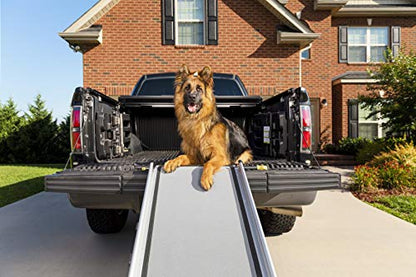 Telescoping Dog Ramp Extends from 39-71 Inches No Slip High Traction Surface Collapsible and Locking