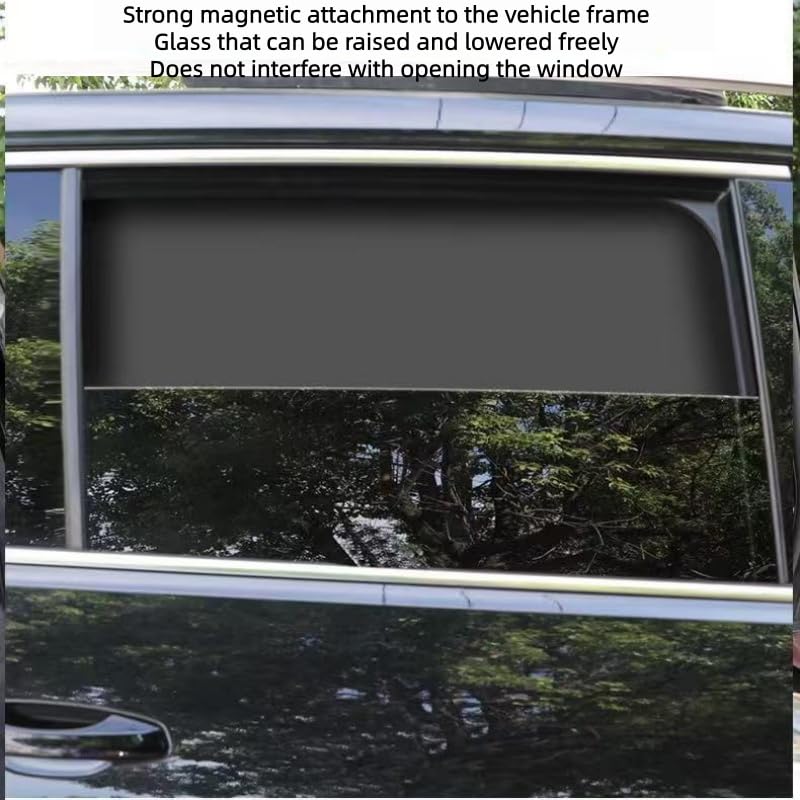 Car Window Shades for Dodge Caravan