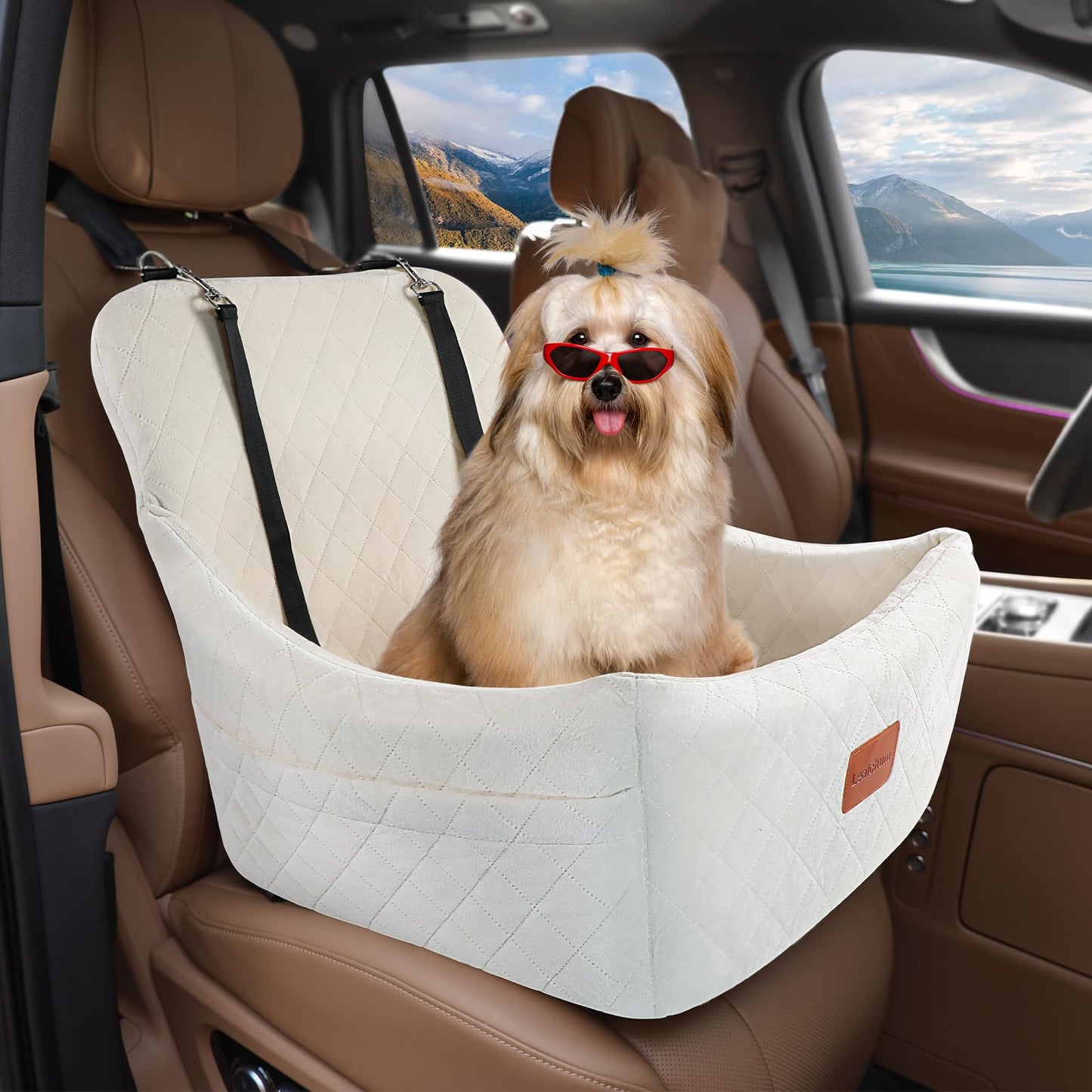 Dog Booster Car Seat for Medium Dogs Up to 40lbs Pets with 2 Clip-On Leashes