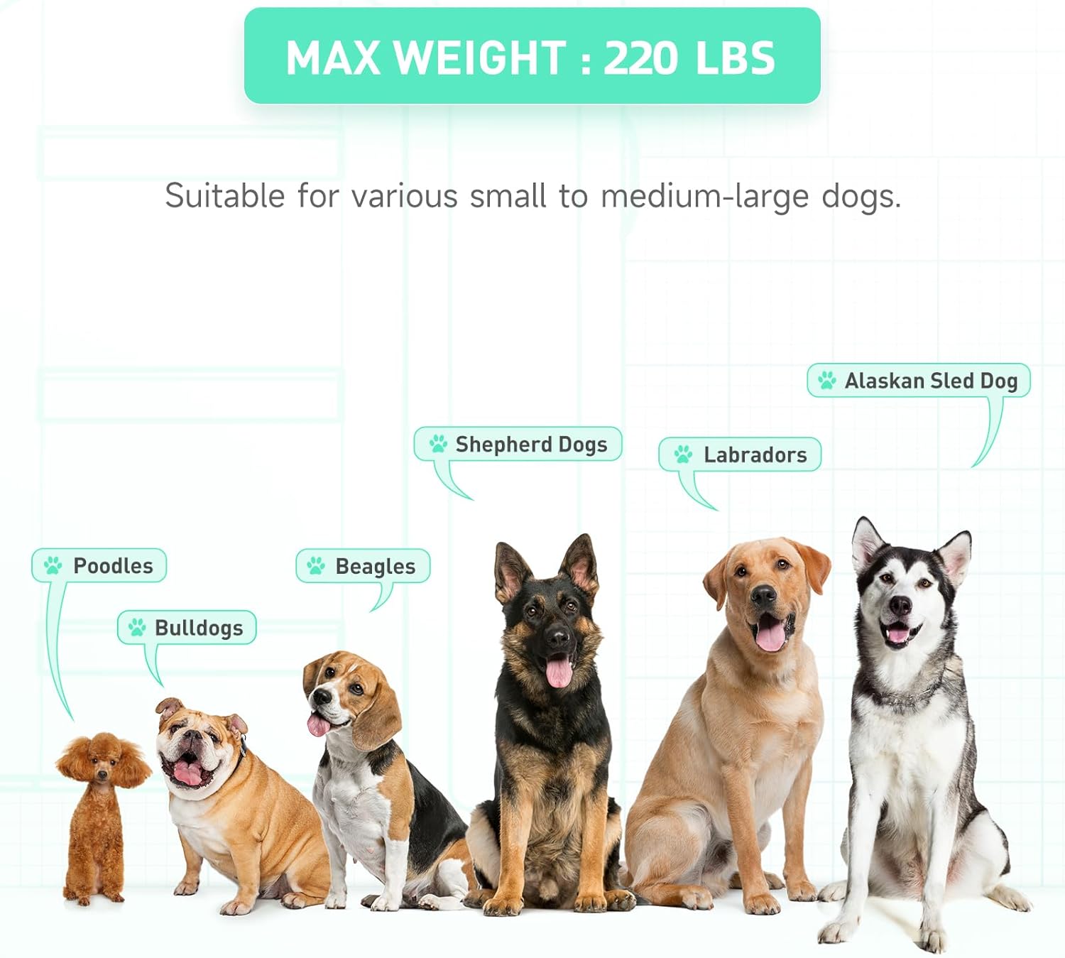 Inflatable Large Dog Float Floating Ramp Pets Up to 220 Pounds Large Dogs - OHMU