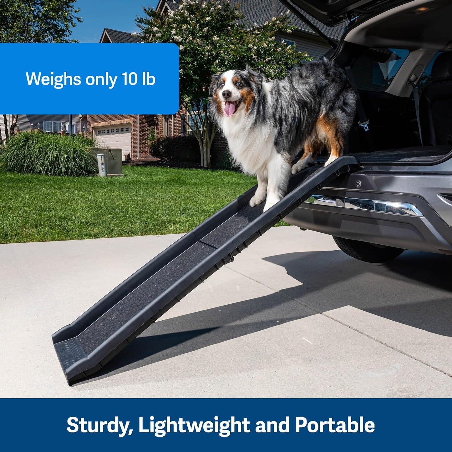 Folding Pet Ramp - Portable Lightweight for Cars/Trucks/SUVs, Happy Ride