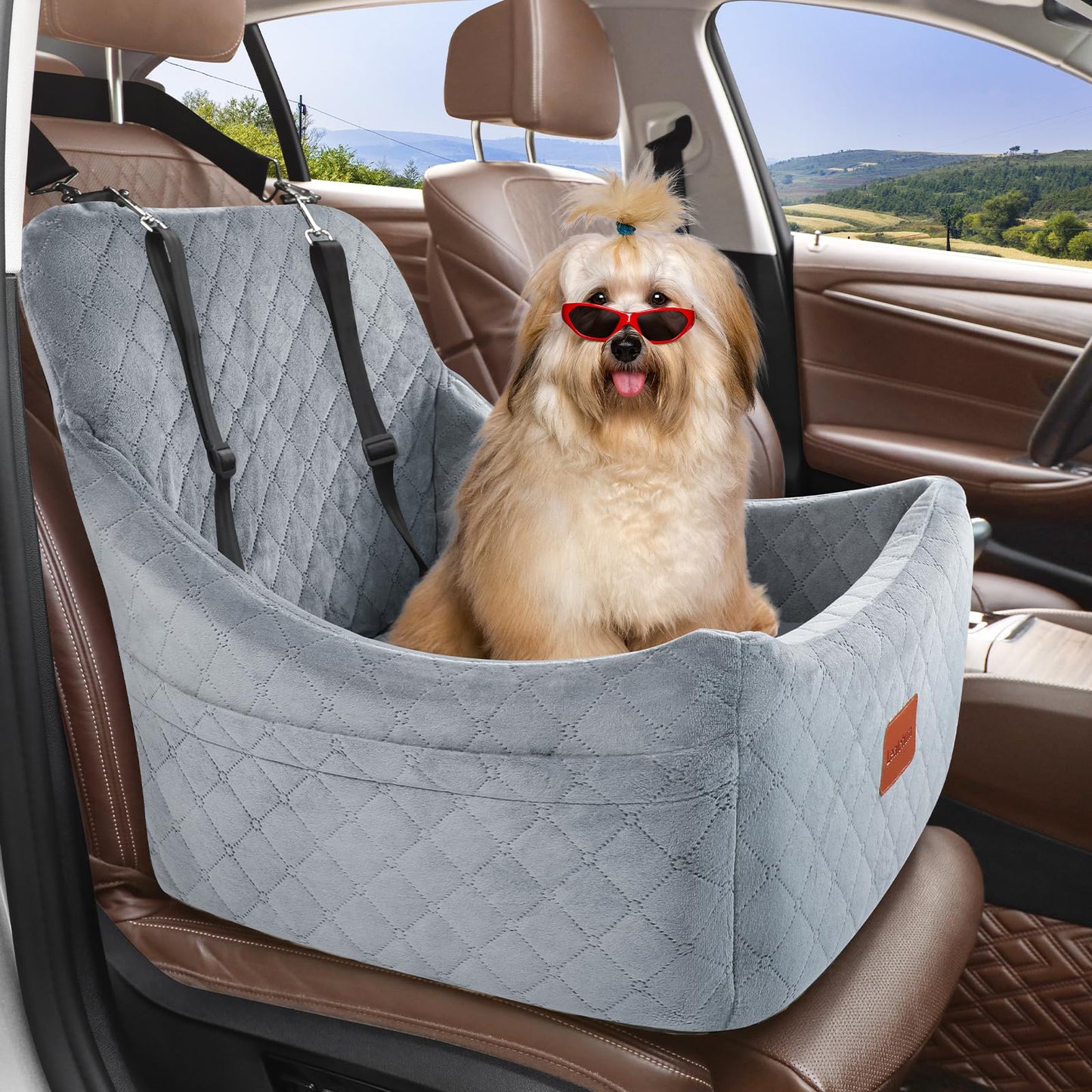 Dog Booster Car Seat for Medium Dogs Up to 40lbs Pets with 2 Clip-On Leashes