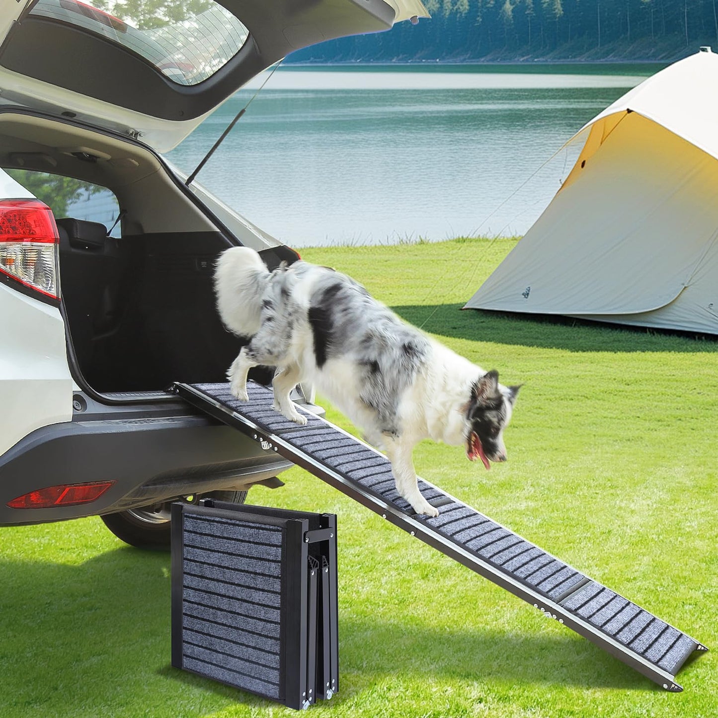 63"x17" Foldable Dog Ramp - 200 lb Capacity, Non-Slip Rug Surface for Large Dogs (Car/SUV/Truck)